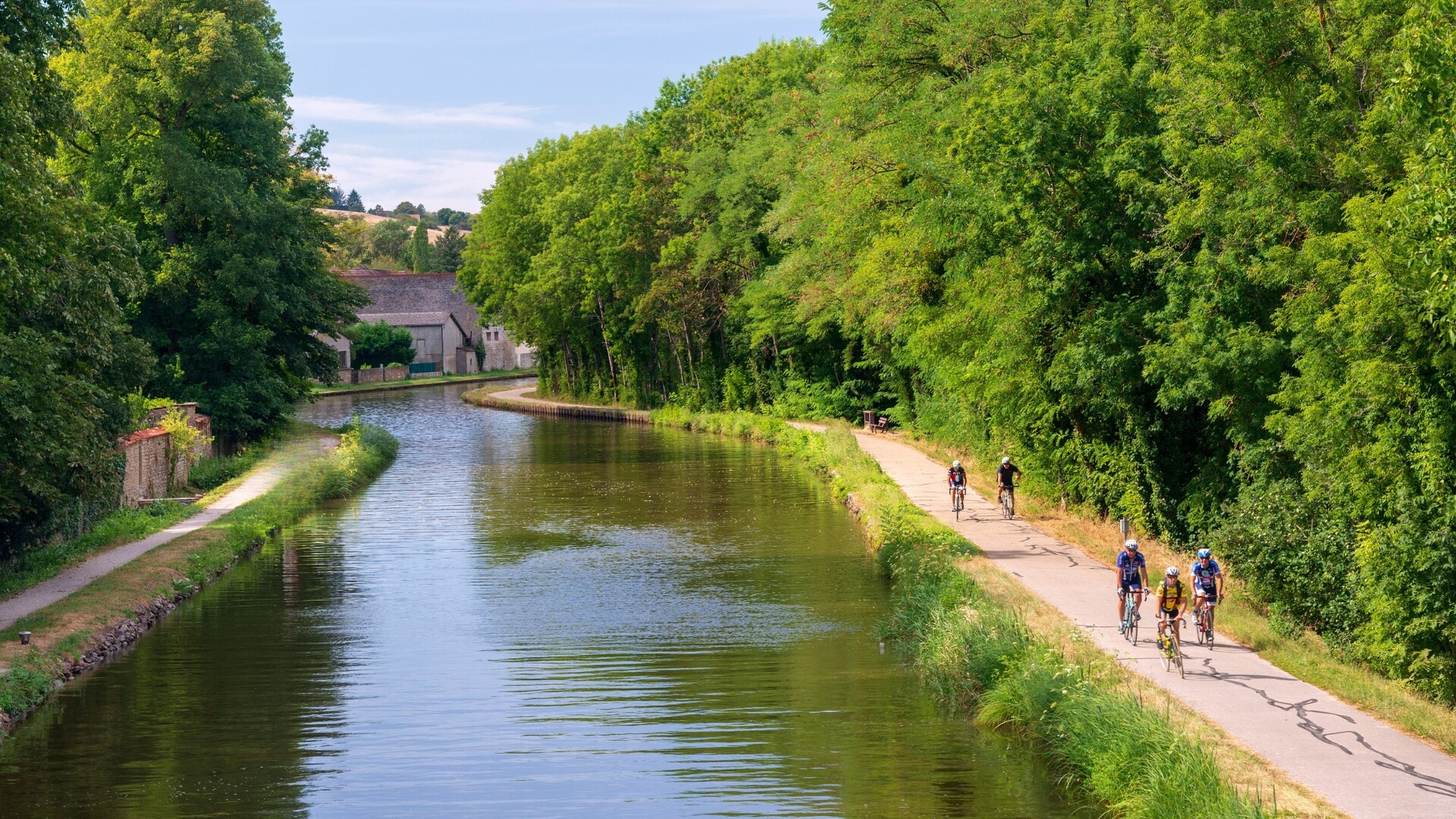 Bourgogne du Sud à vélo : route des grands crus et de l'art roman